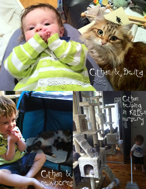 Pictures of our kids with the cats
